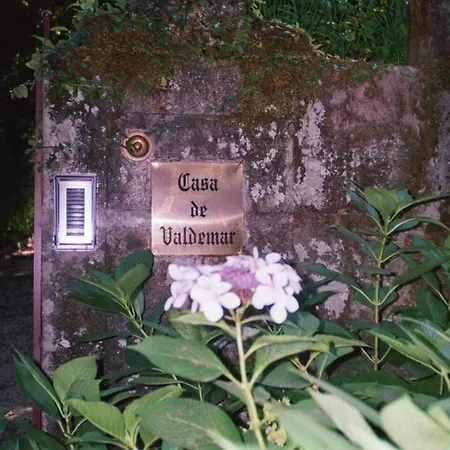 Dom wakacyjny Casa De Valdemar Felgueiras
